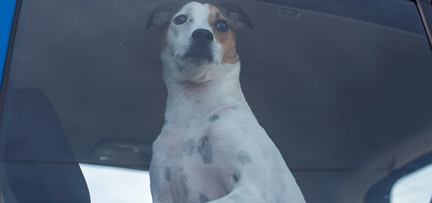 Car Lockout Solutions in Woodcrest, California